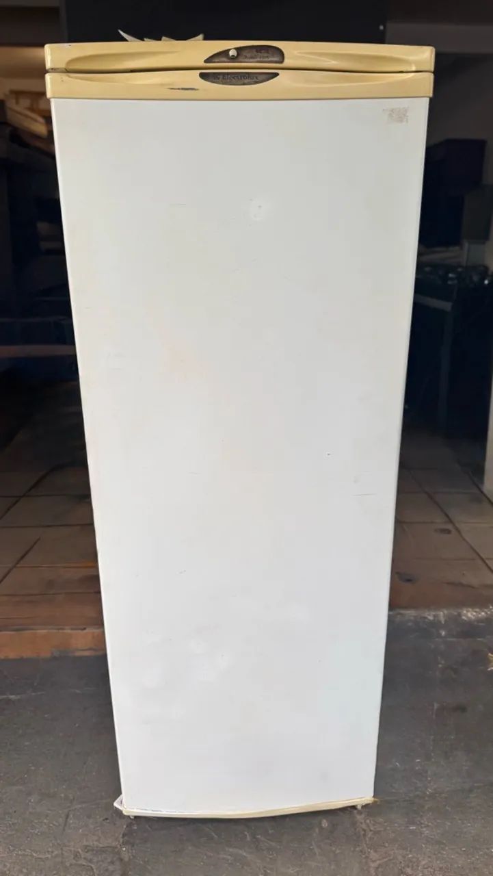 Freezer vertical Electrolux  - Foto 2