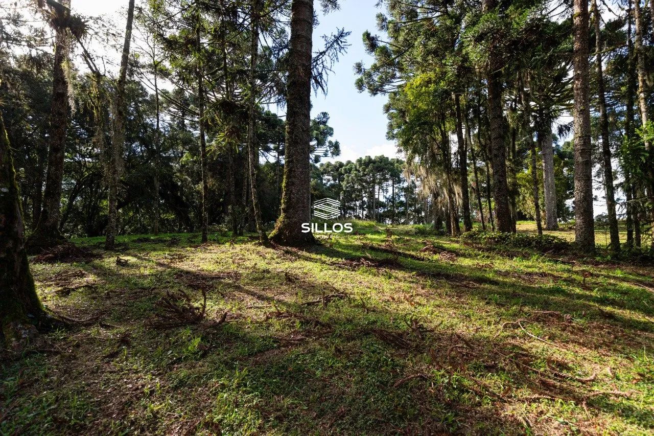 Chácara à venda com 80.000m² em Butiatuvinha em Curitiba - Foto 6