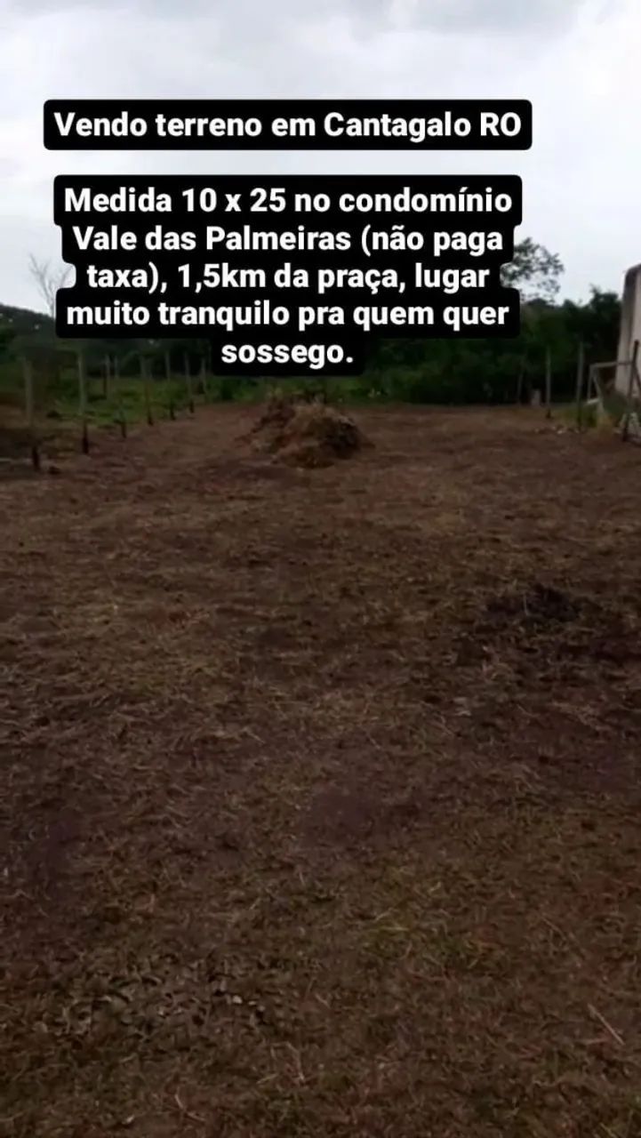 Foto - Rio das Ostras - Cantagalo