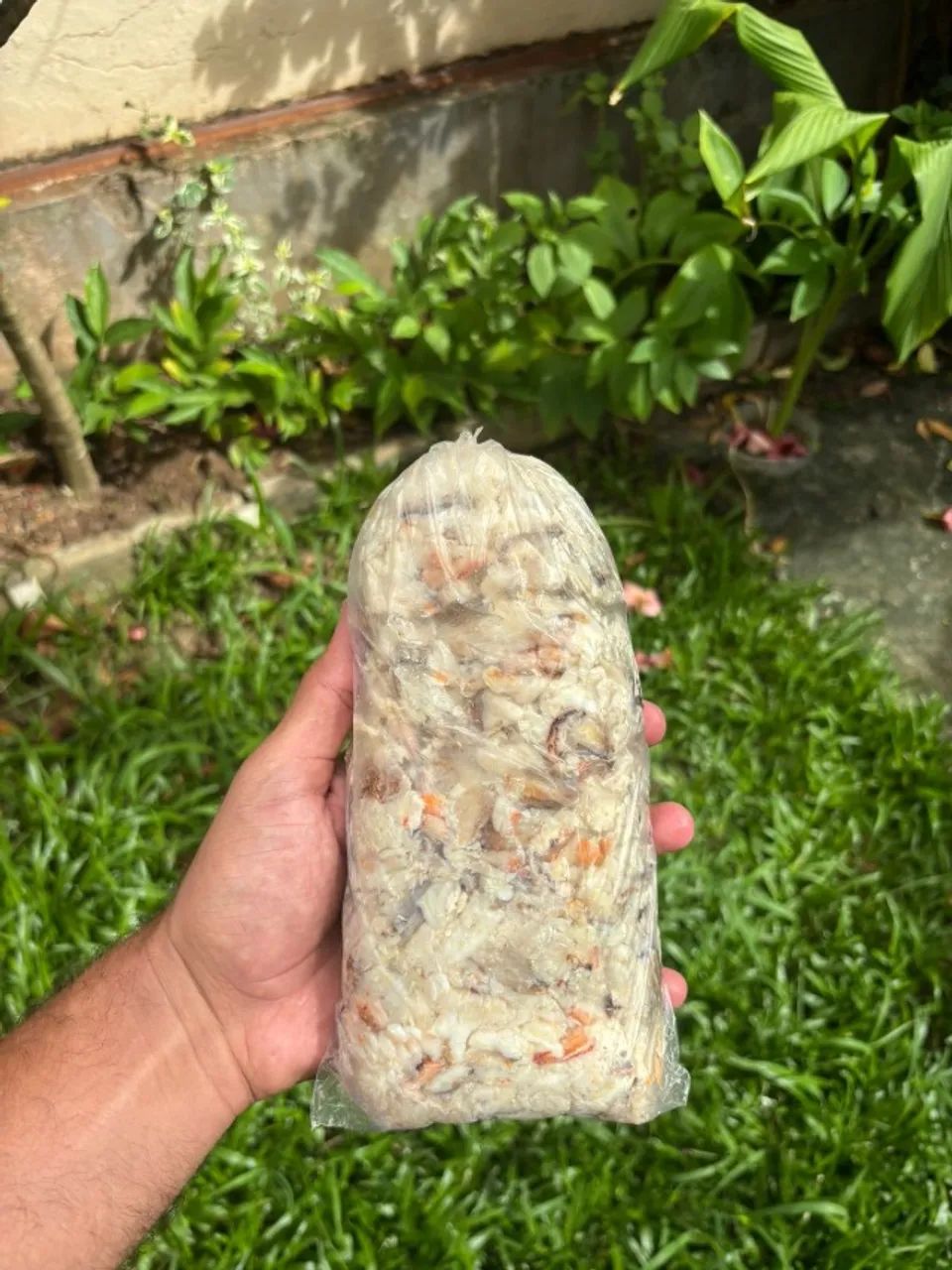 Pescados e Frutos do Mar - Mais barato de Salvador - Foto 3