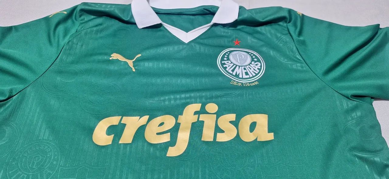Camisa palmeiras verde 2024 EGG