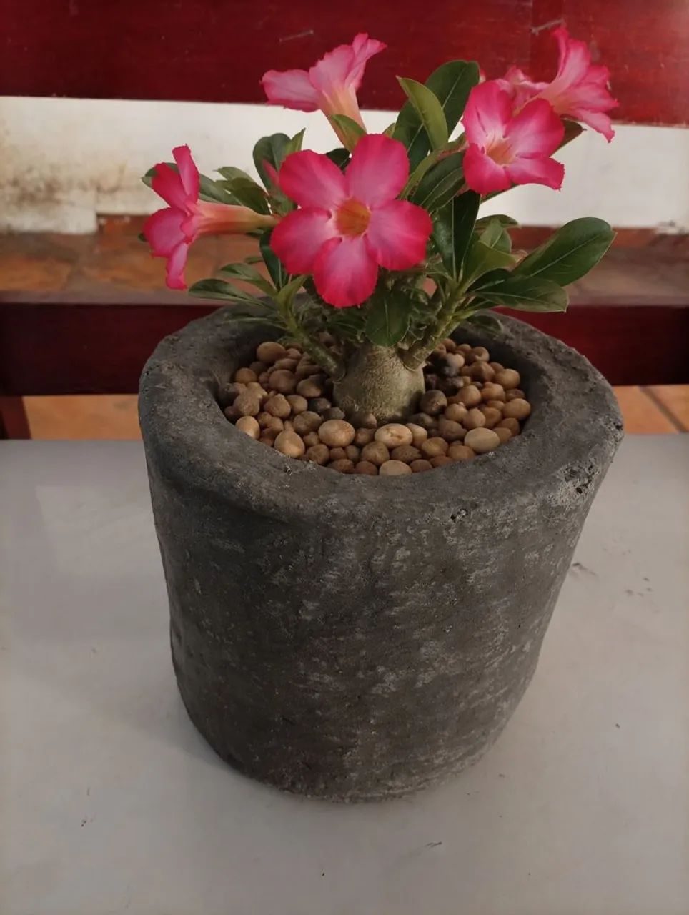 Vasos para plantas  - Foto 3