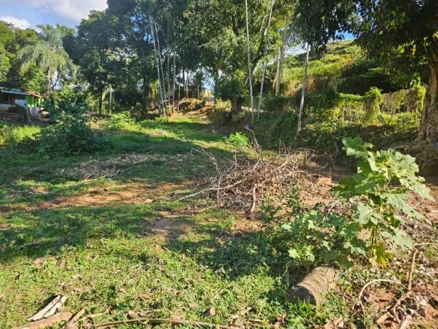 DOIS LOTES DE  450 M² CADA UM , LOCALIDADE SAMARCO * - Foto 2