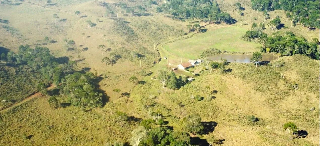 Fazenda em São Joaquim- Serra Catarinense- 182 hectares