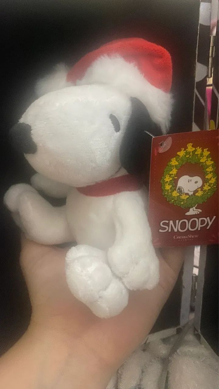 1 chaveiro Snoopy cacau show - Foto 3