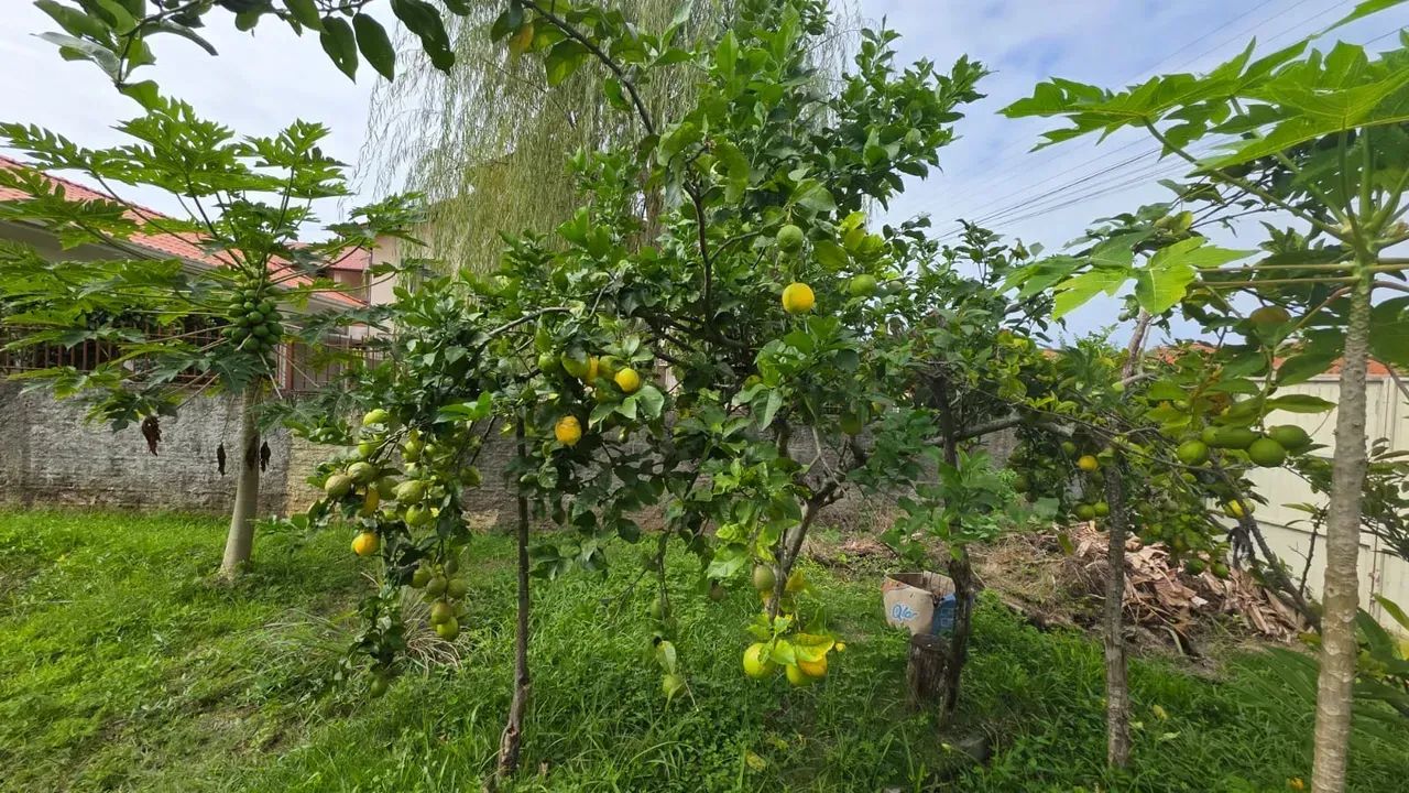 Terreno no Bairro Carianos com 360 m² - Foto 5