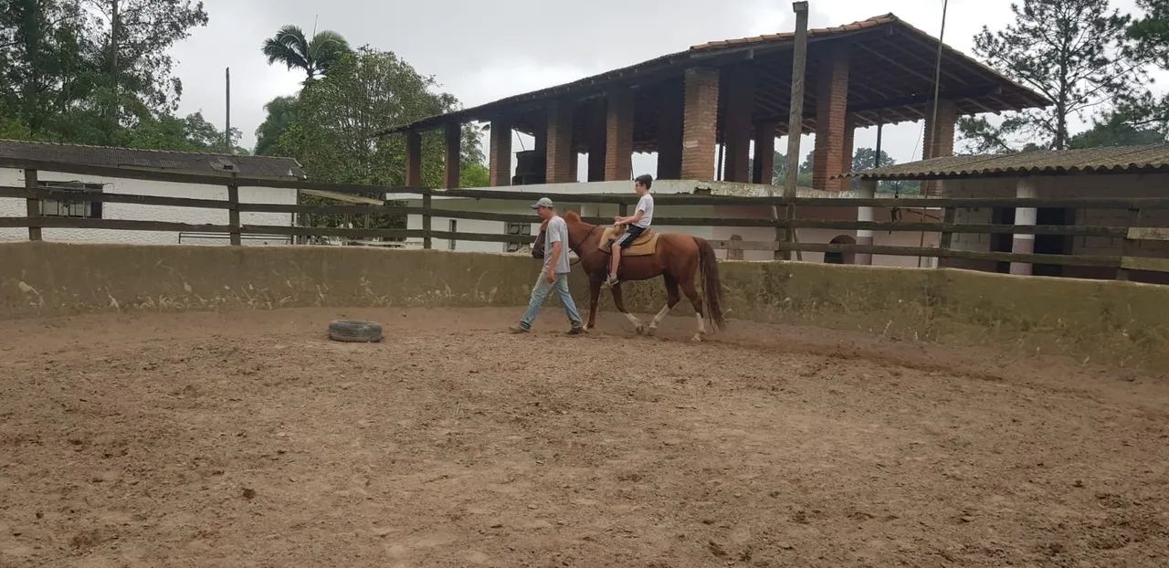 Vende -se manga larga  - Foto 2