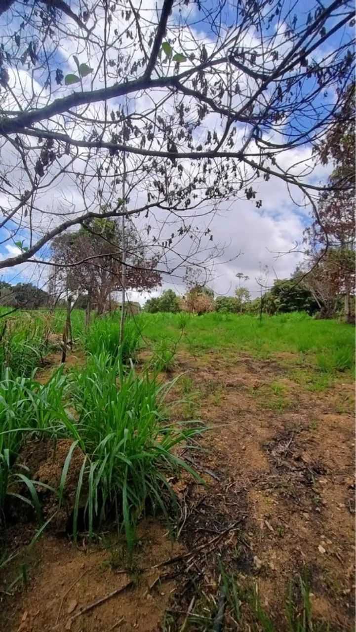 Vendo Chácara Rodeador Brazlândia  - Foto 9