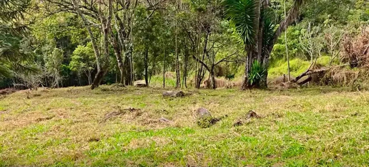 PROMOÇÃO DIA DOS PAIS  PARTE 7 | CAMBUÍ/MG - Foto 2