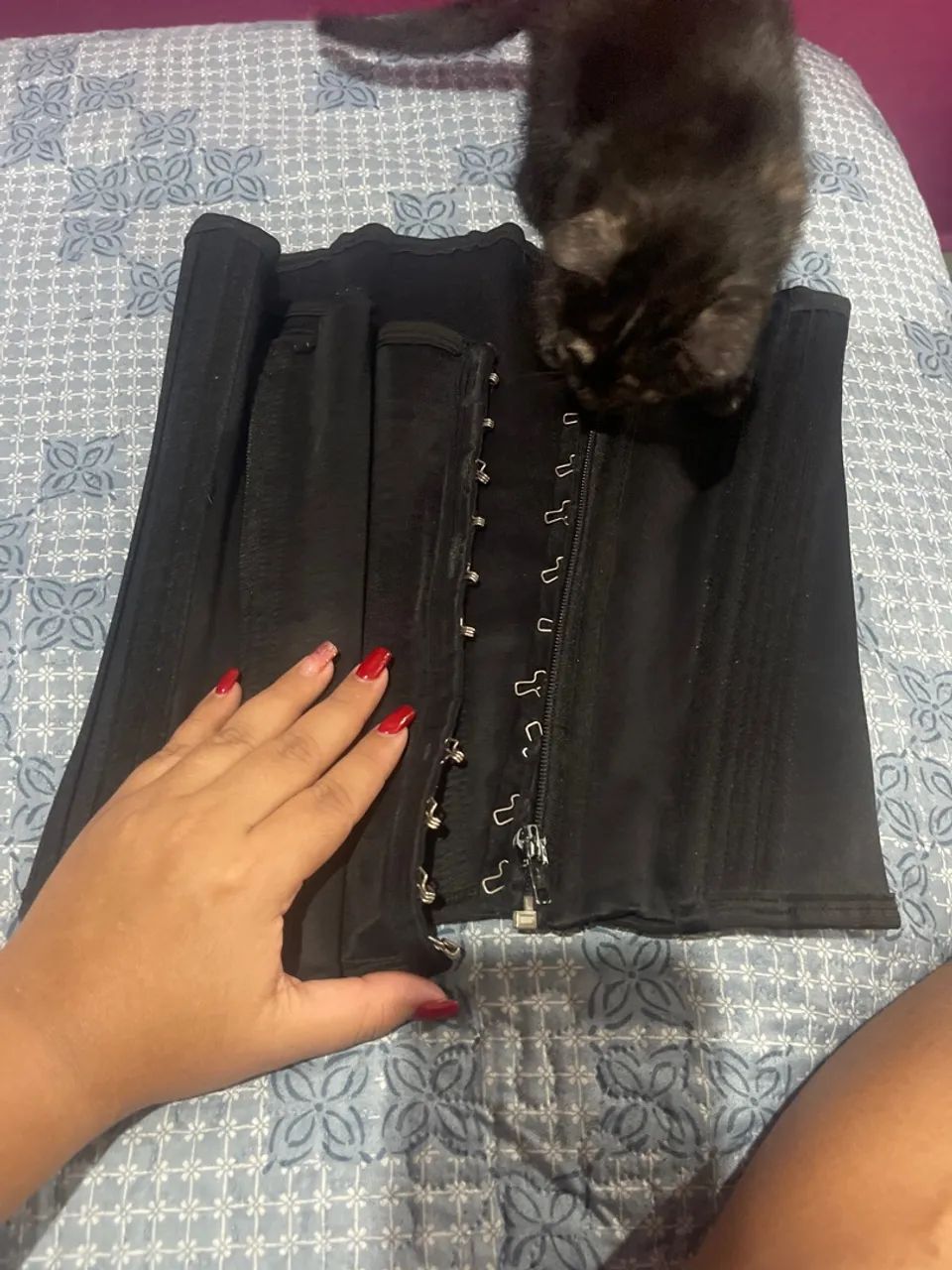 Cinta da Sheila  - Foto 2
