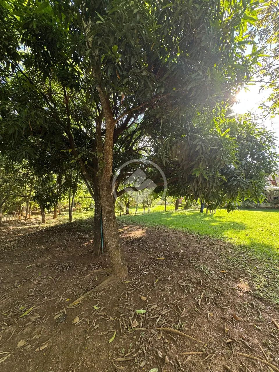 Condomínio Cidade das Águas codigo: 384982 - Foto 2