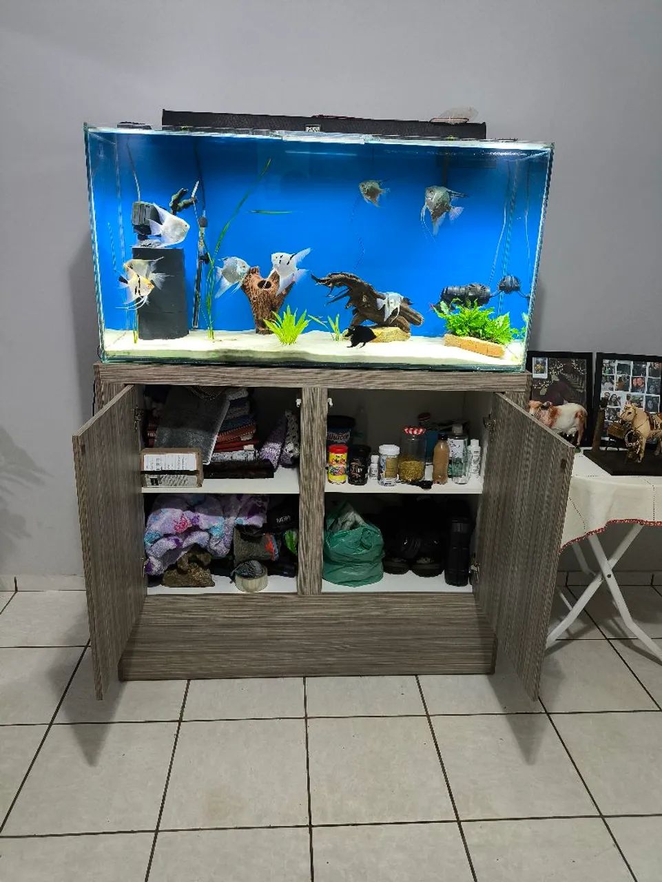 Aquário com Móvel  - Foto 6