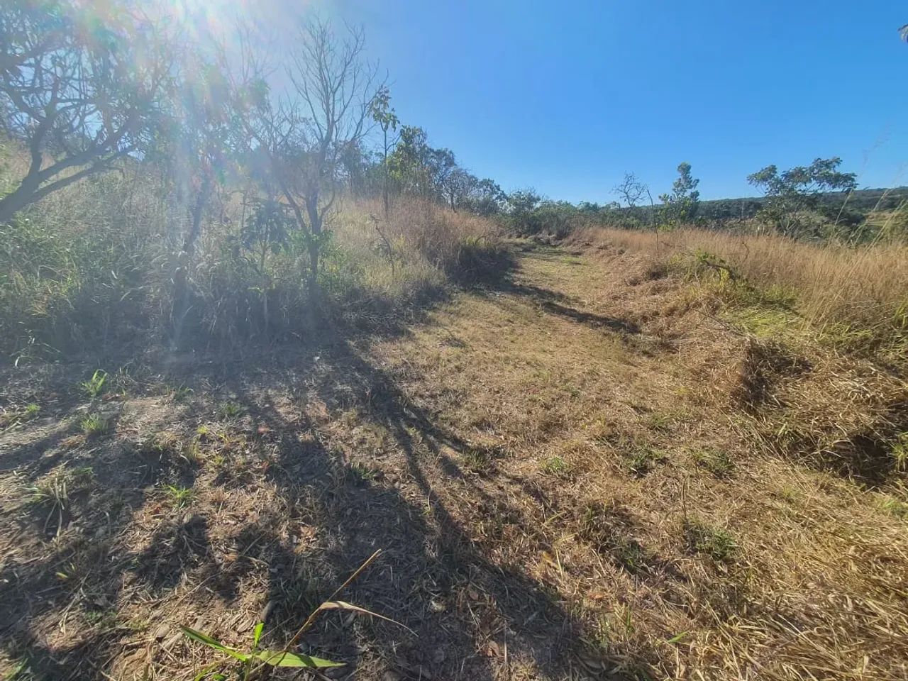 Vendo ótima chácara de 2 hectares em Planaltina DF - Foto 3