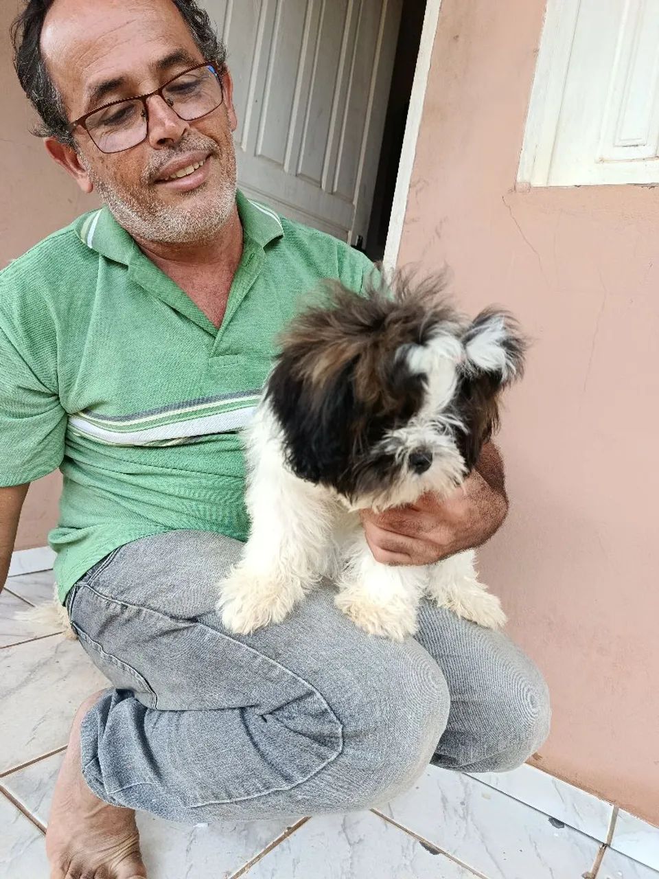Vende-se cadelinha Shitzu e poodle  - Foto 3