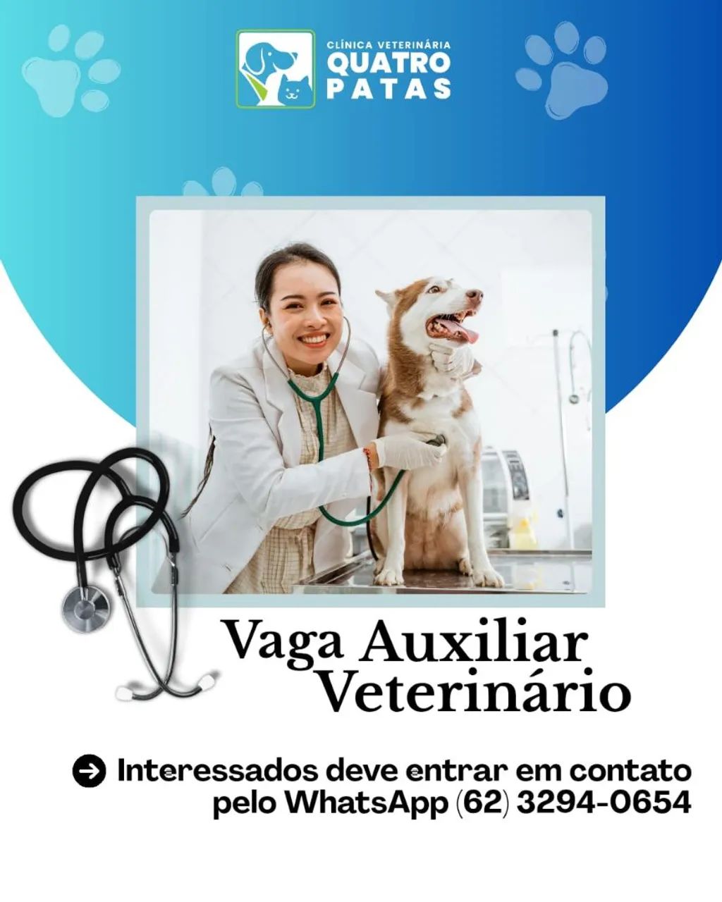 Auxiliar veterinário 