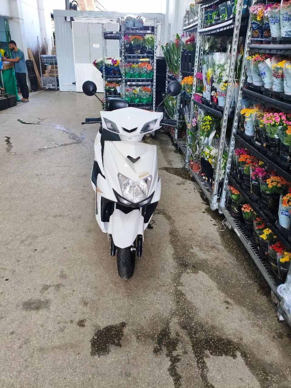 AUTOPROPELIDP BRAZFLEX 1000W BRANCA