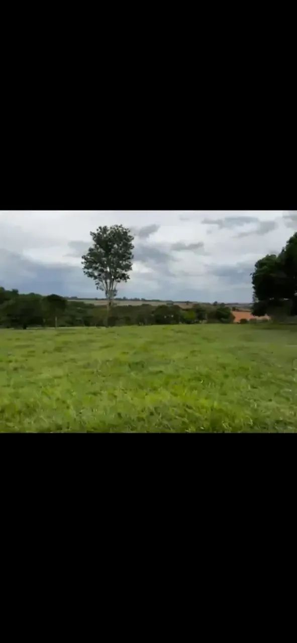 Chácara 18 alqueires Goianápolis oportunidade - Foto 5