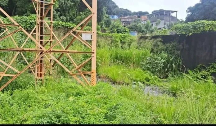 TERRENO COMERCIAL  - Foto 2
