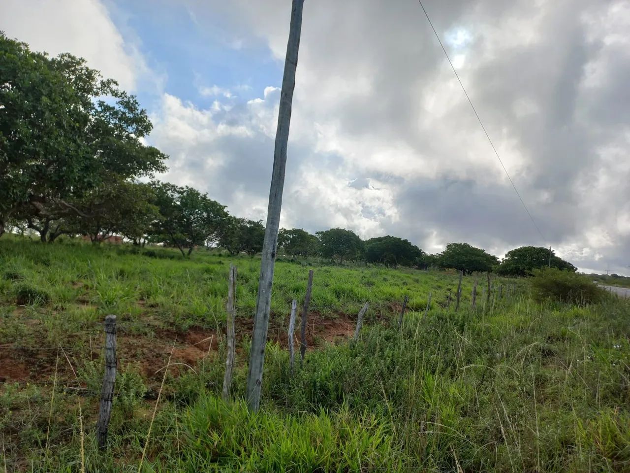 Terra à Venda - Foto 4
