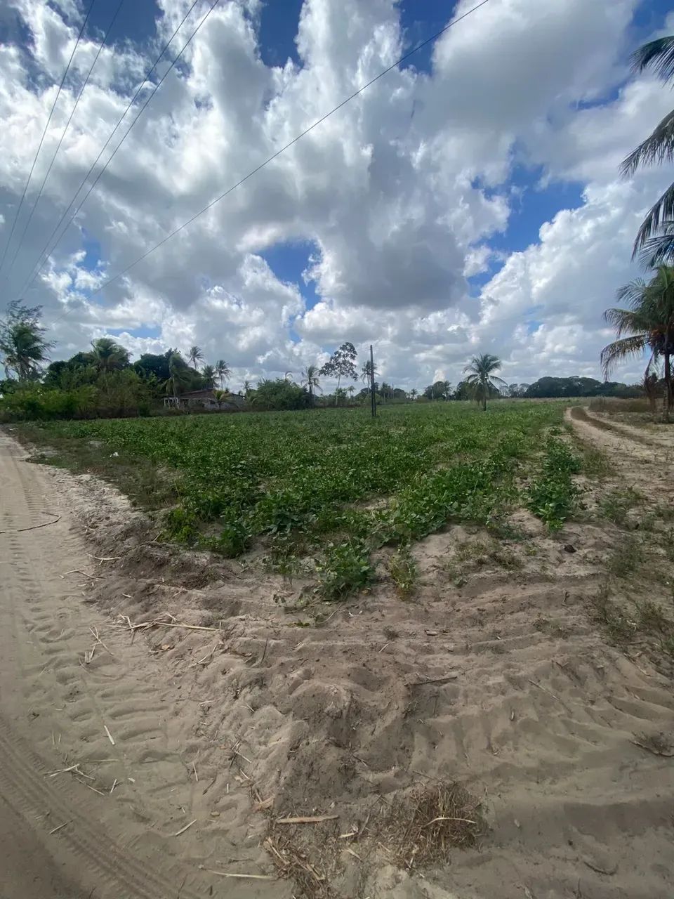 Excelente terreno Rural no Engenho Pitanga, em Igarassu, 4,5ha (123m X 366m) - Foto 4