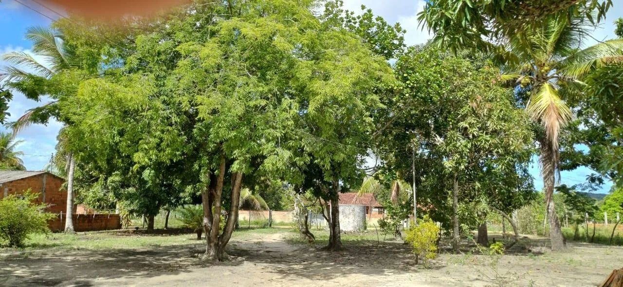 Sitio em São Cristovao - Foto 4