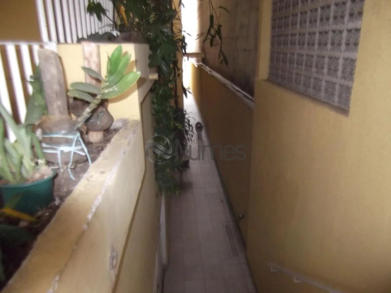 Casa em Vila Nova Cachoeirinha - São Paulo - Foto 4
