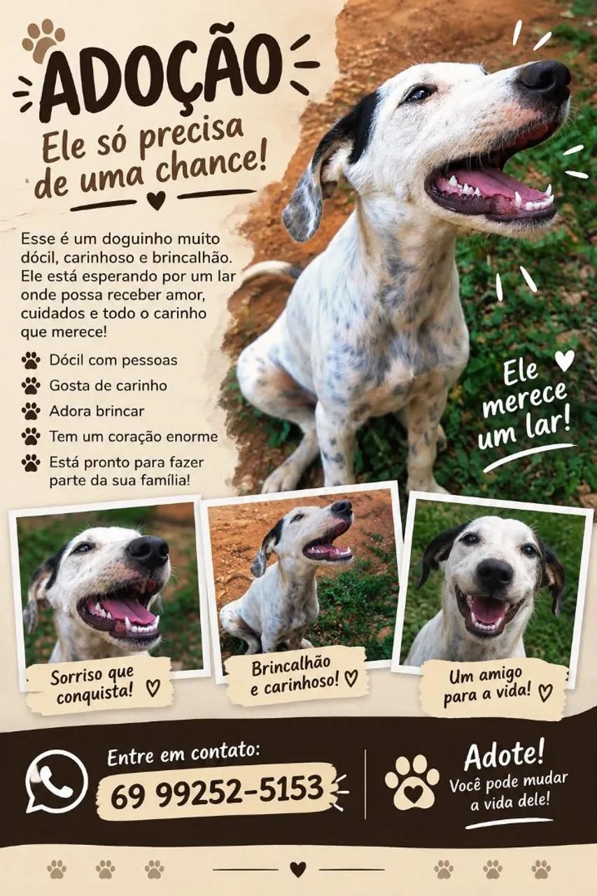 Estou doando esse dog dócil 