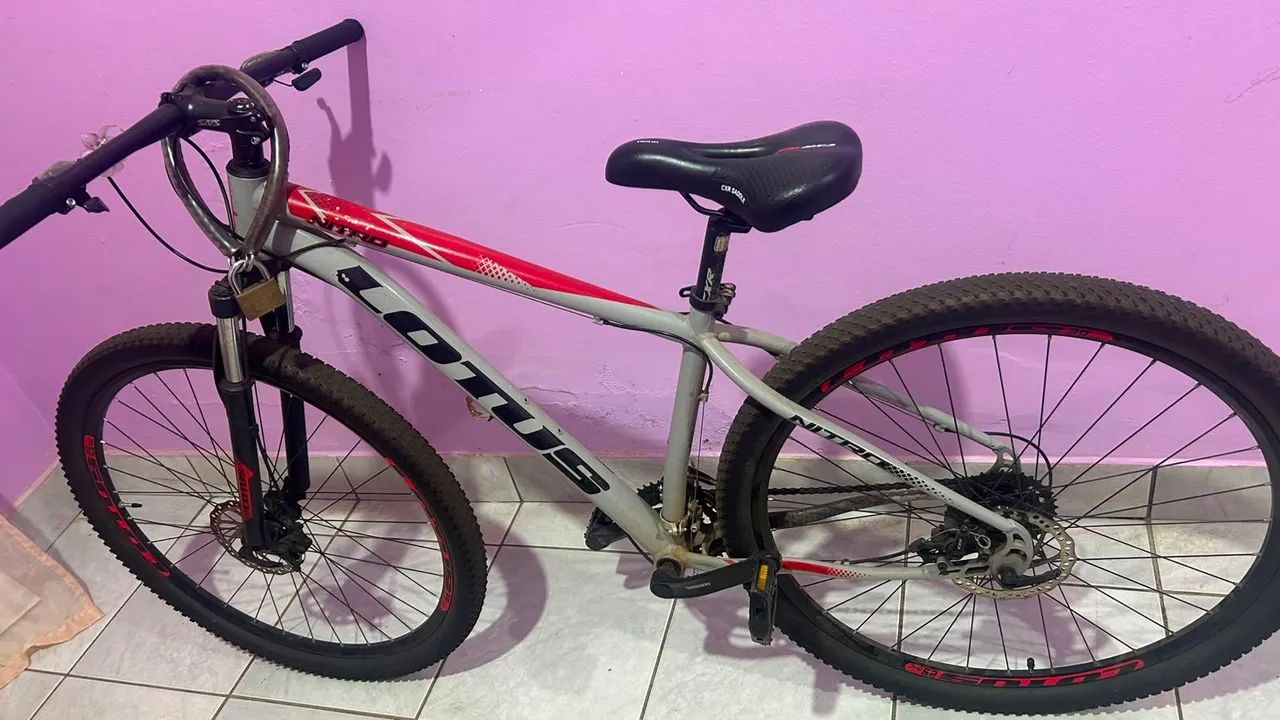 Bicicleta lótus  - Foto 3