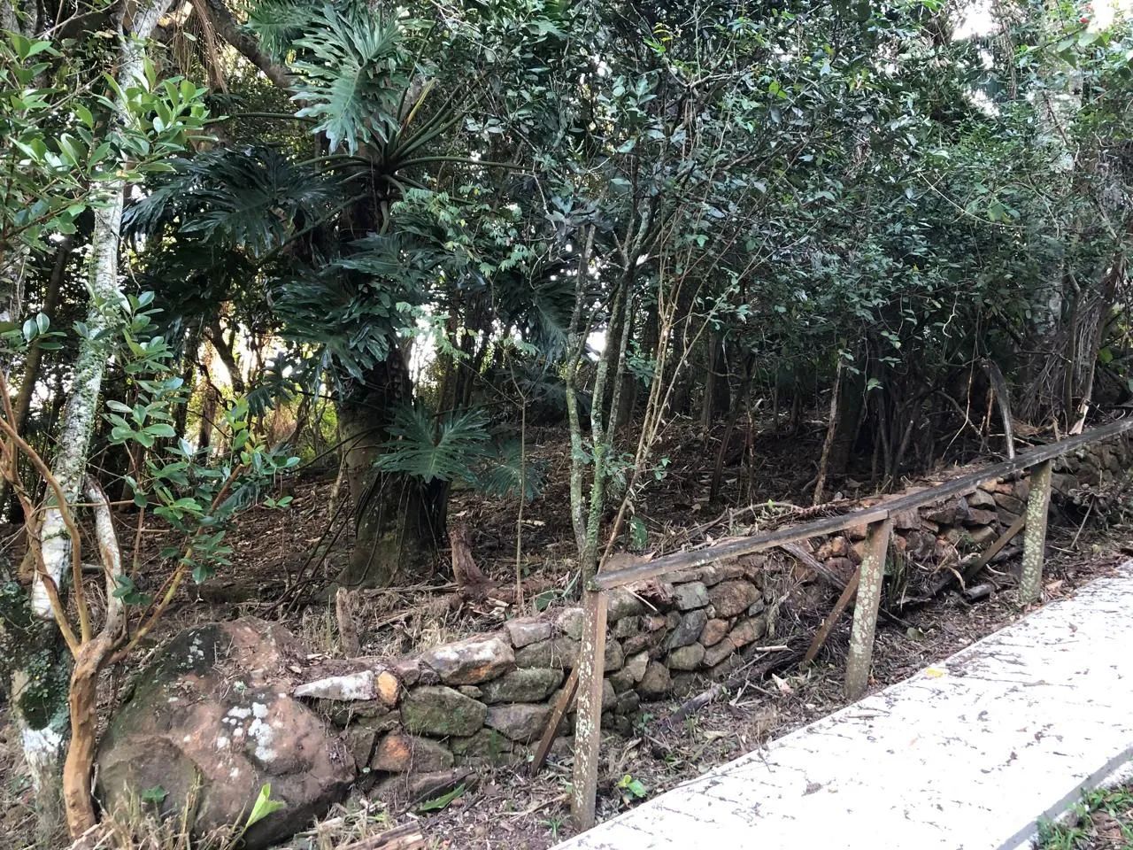 Terreno Ribeirão da Ilha Florianópolis  - Foto 4