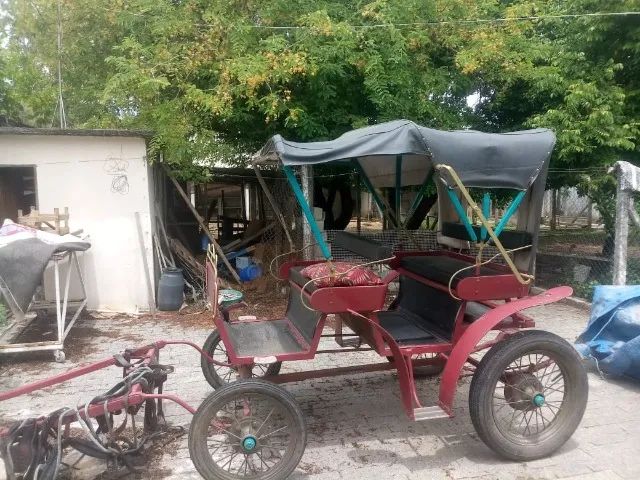 Charrete 4 rodas ou Troller / Jóquei . Atrelagem (Harness Racing) - Foto 3