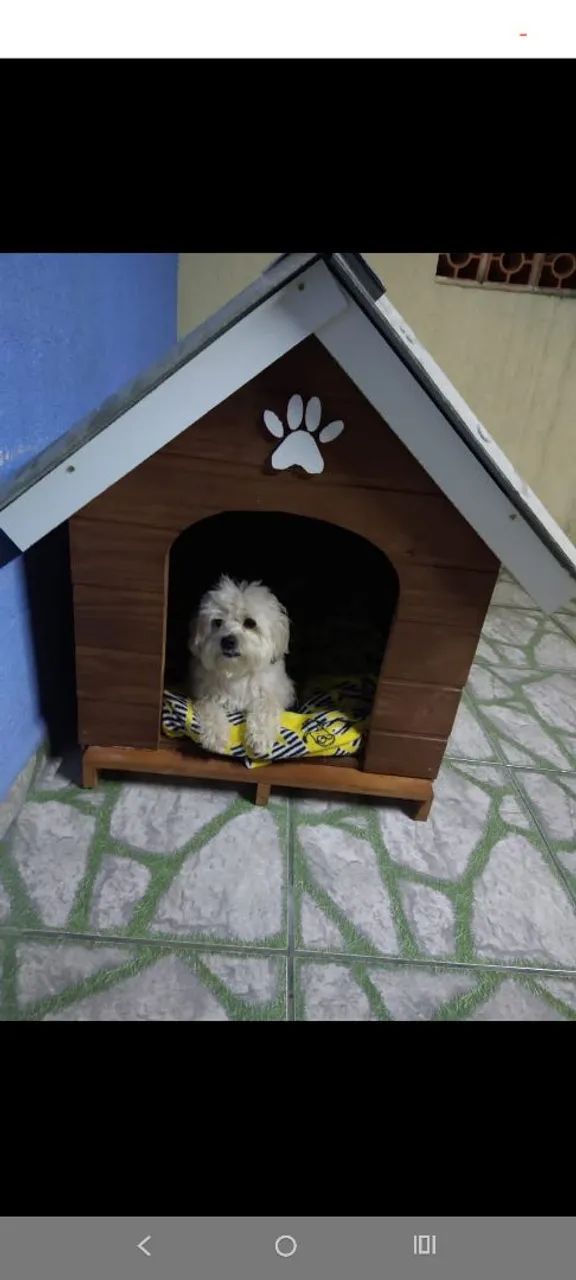 Casas de madeira  pets  - Foto 3