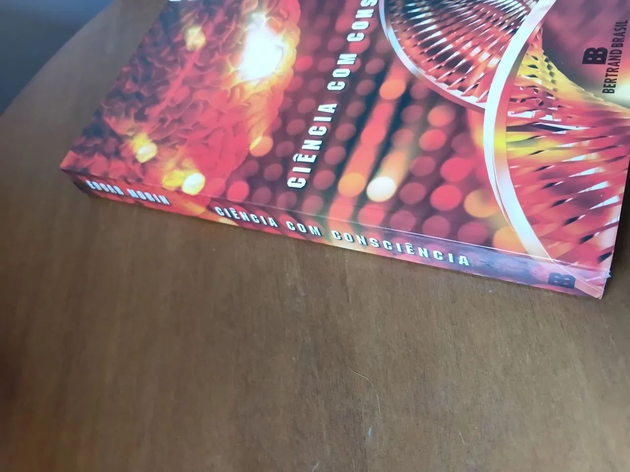 CIENCIA COM CONSCIÊNCIA- EDGAR MORIN - Foto 3