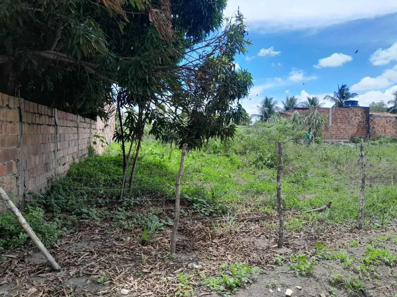 VENDE-SE TERRENO EM ITAPORANGA - Foto 4