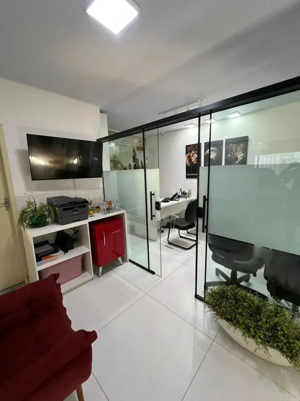 Imóvel Comercial e Residencial - Bosque da Saúde - Foto 2
