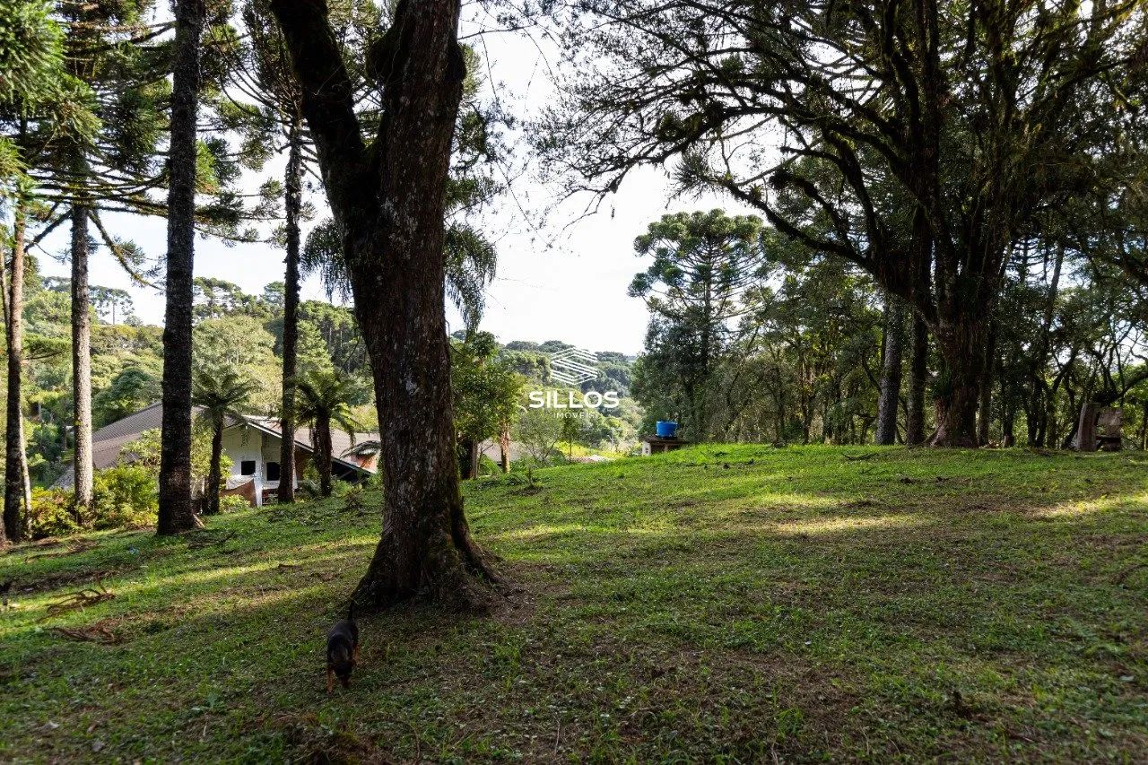Chácara à venda com 80.000m² em Butiatuvinha em Curitiba - Foto 5