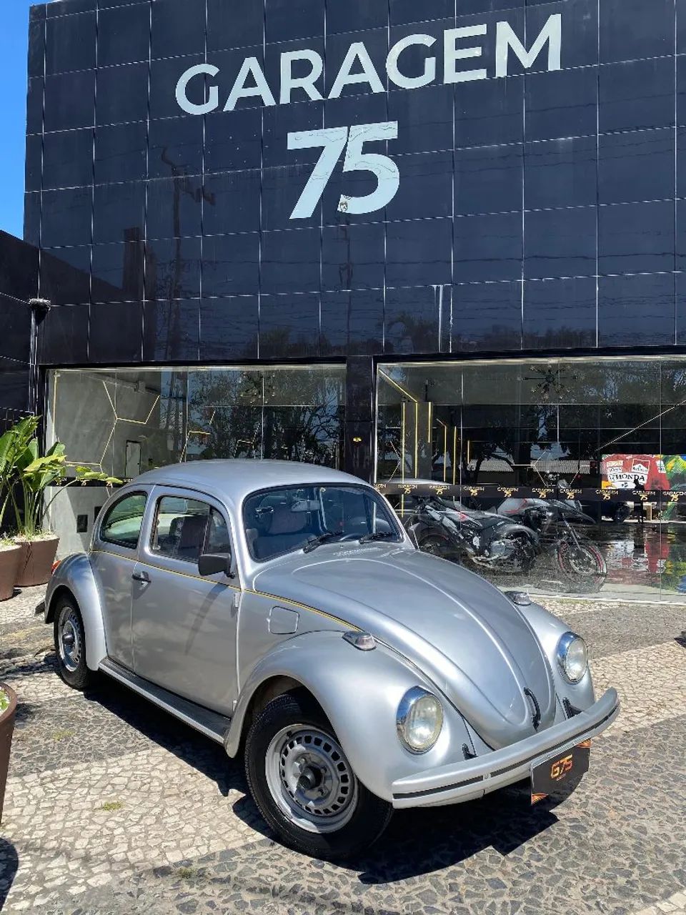 Volkswagen Fusca Fusca (gasolina) 1994