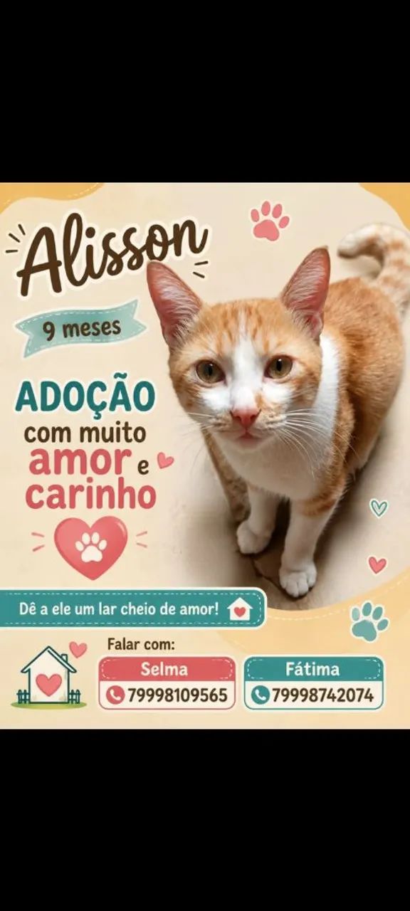 Coisa mais Linda!!!