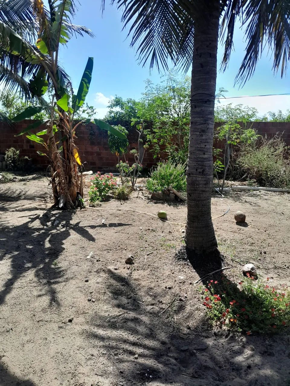 Chácara  - Foto 3