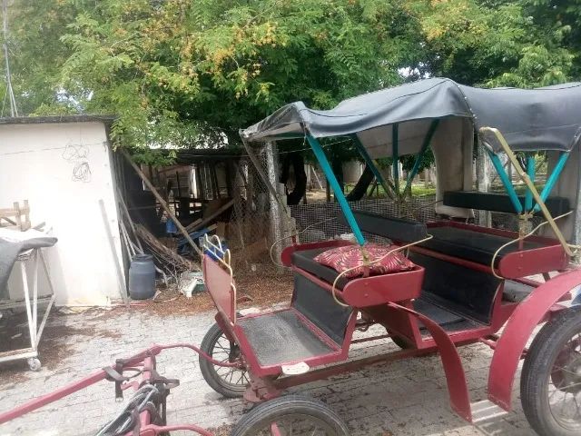 Charrete 4 rodas ou Troller / Jóquei . Atrelagem (Harness Racing) - Foto 2