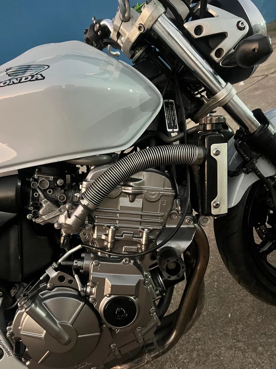 Hornet 600
