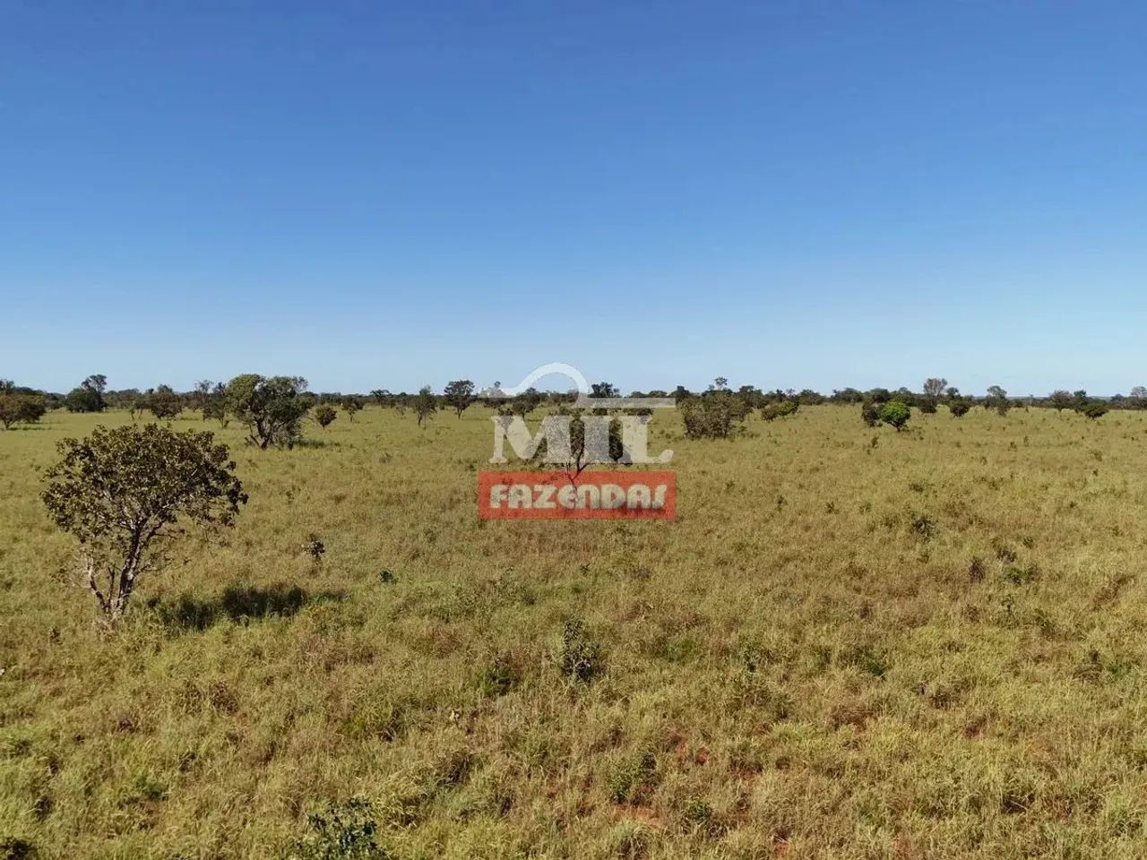 Fazenda 514 alqueires (2487 hectares) Almas - To