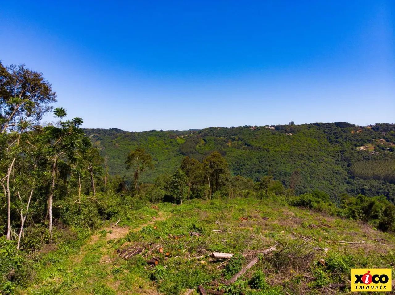 Sítio / Chácara para Venda em Nova Petrópolis, São Jacó - Foto 3