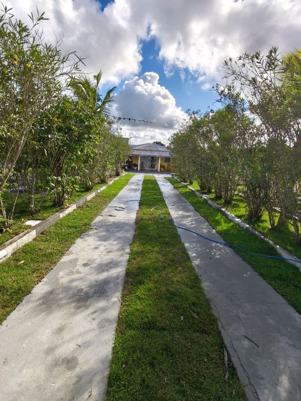 Sitio para vaquejada
