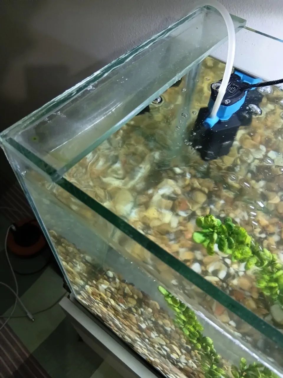 Aquário Completo 50L - Foto 4