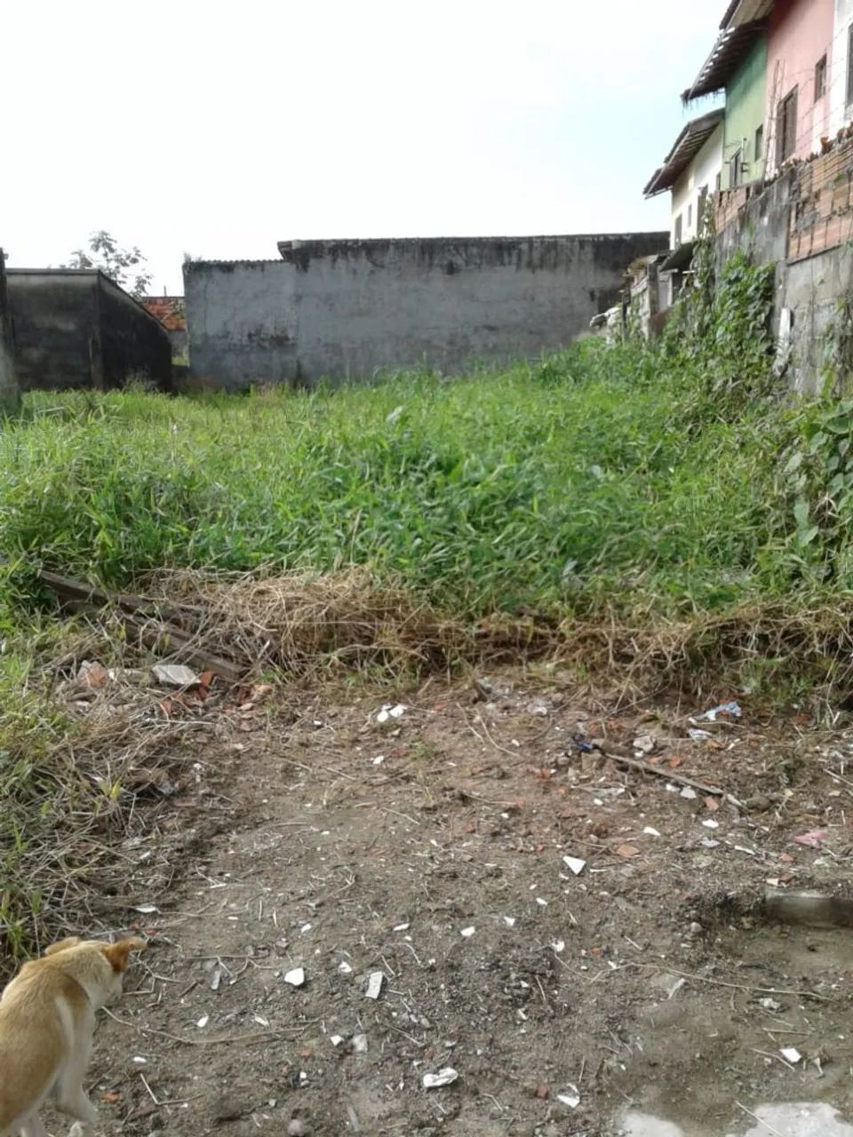Foto - Santos - Saboó