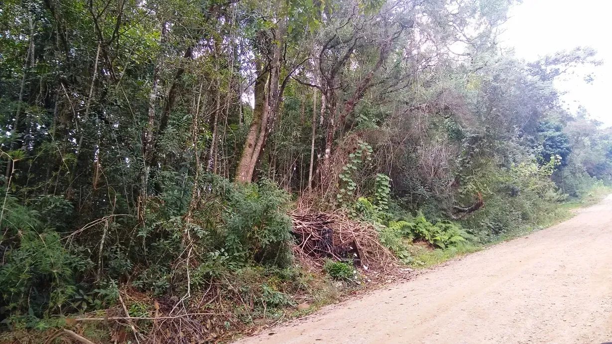 TERRENO COM POSSIBILIDADE DE EMPREENDIMENTO DE HOSPEDAGEM - Foto 4