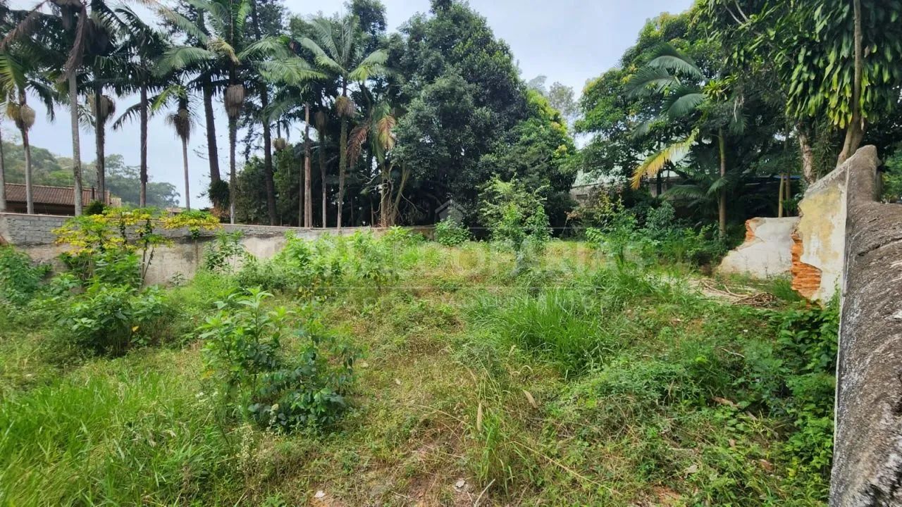 Terreno à venda em Interlagos - São Paulo - Foto 2