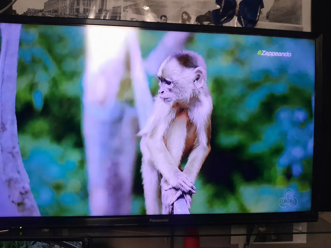 TV Panasonic  - Foto 2