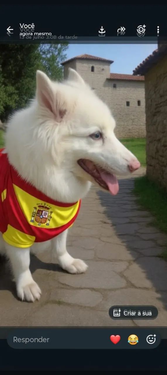 Adestramento e passeio de cães de pequeno, médio e grande porte. - Foto 2