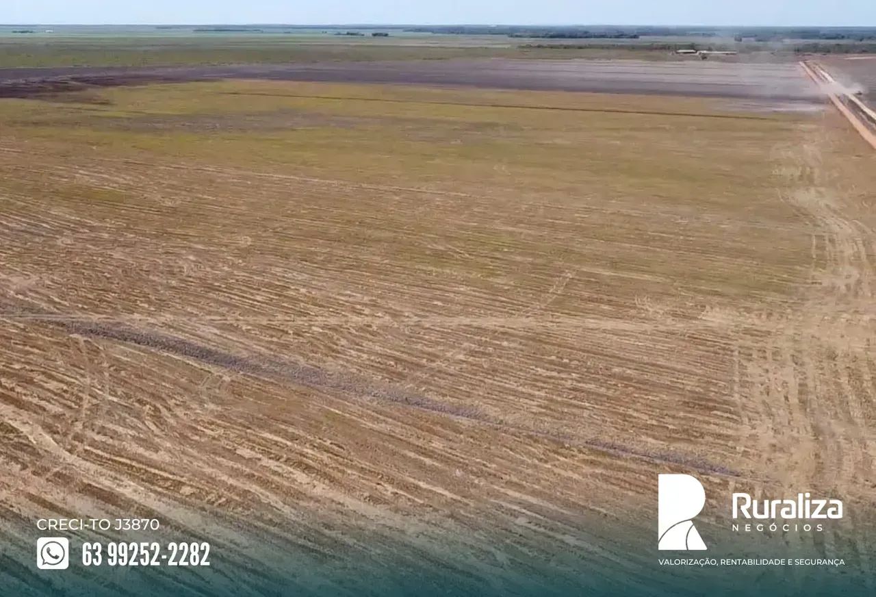 7.260 HA | 1.000 HA PARA ABERTURA | VÁRZEA E TERRA PRETA - Foto 5